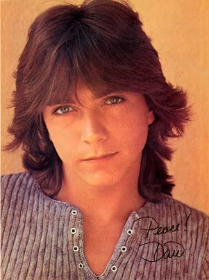 DavidCassidy-shaghaircut